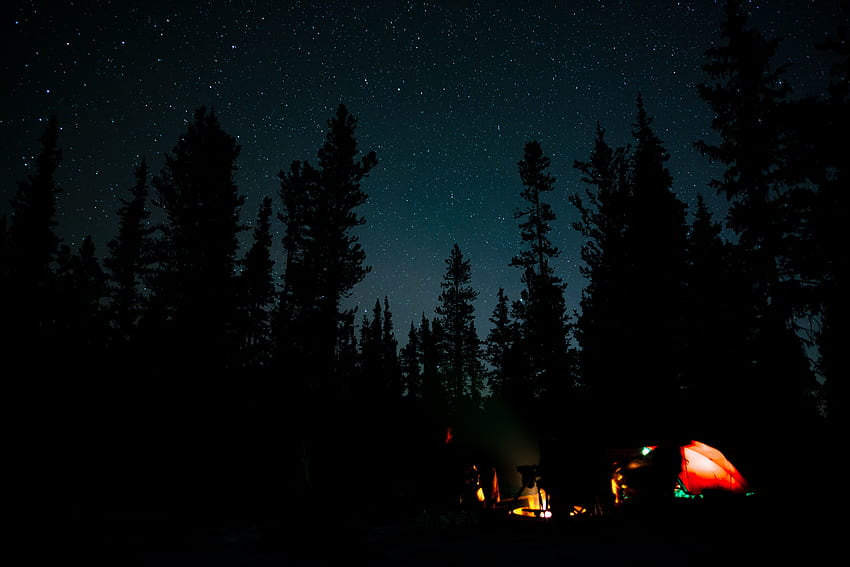 たき火、夜、暗い、森、キャンプ、キャンプ場 高画質の壁紙