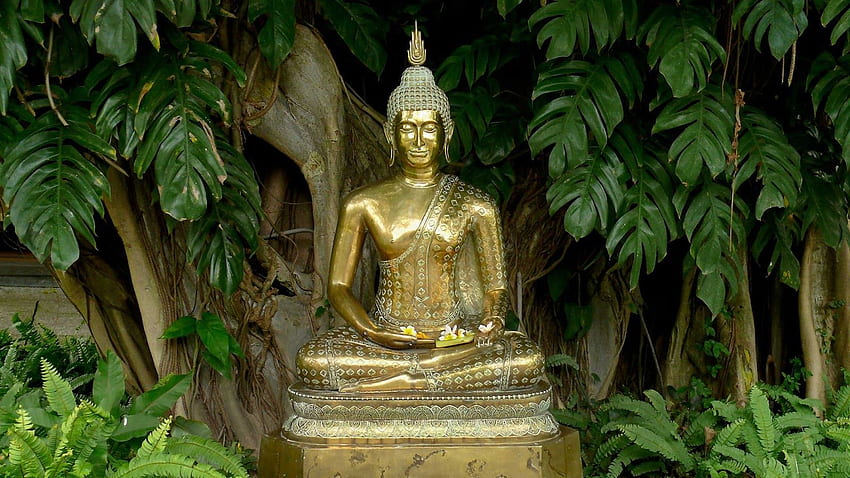 Buddha Quotes Online: Buddha Statue Nature HD wallpaper
