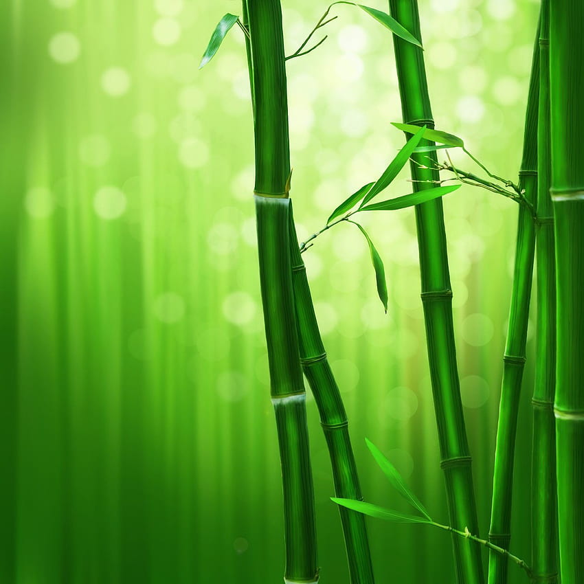 Bel 3D Di Bambù Con Verde - Bellissimi Alberi Di Bambù, Telefono Di Bambù Sfondo del telefono HD