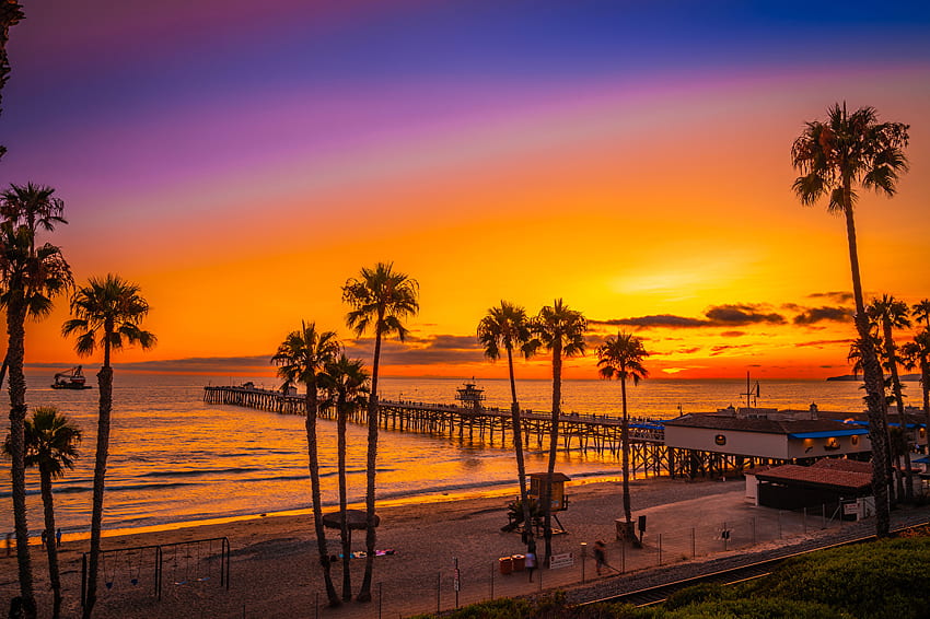 California USA San Clemente Beach Alam pohon palem, California Palm Trees Sunset Wallpaper HD