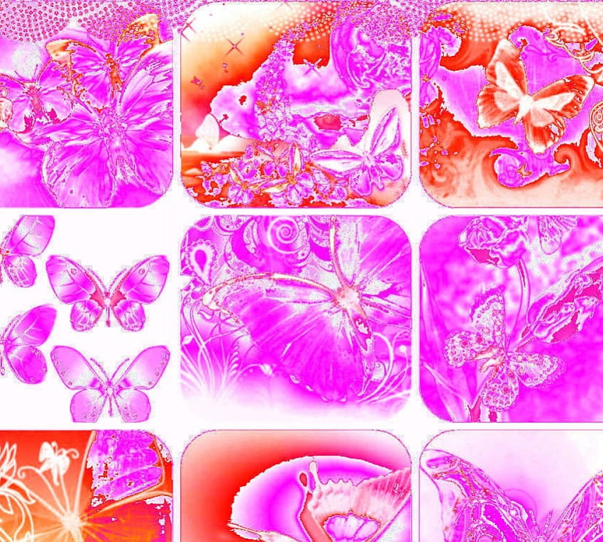 HEAT MAP SOLARIZED, butterflies, pretty, pinks, red HD wallpaper