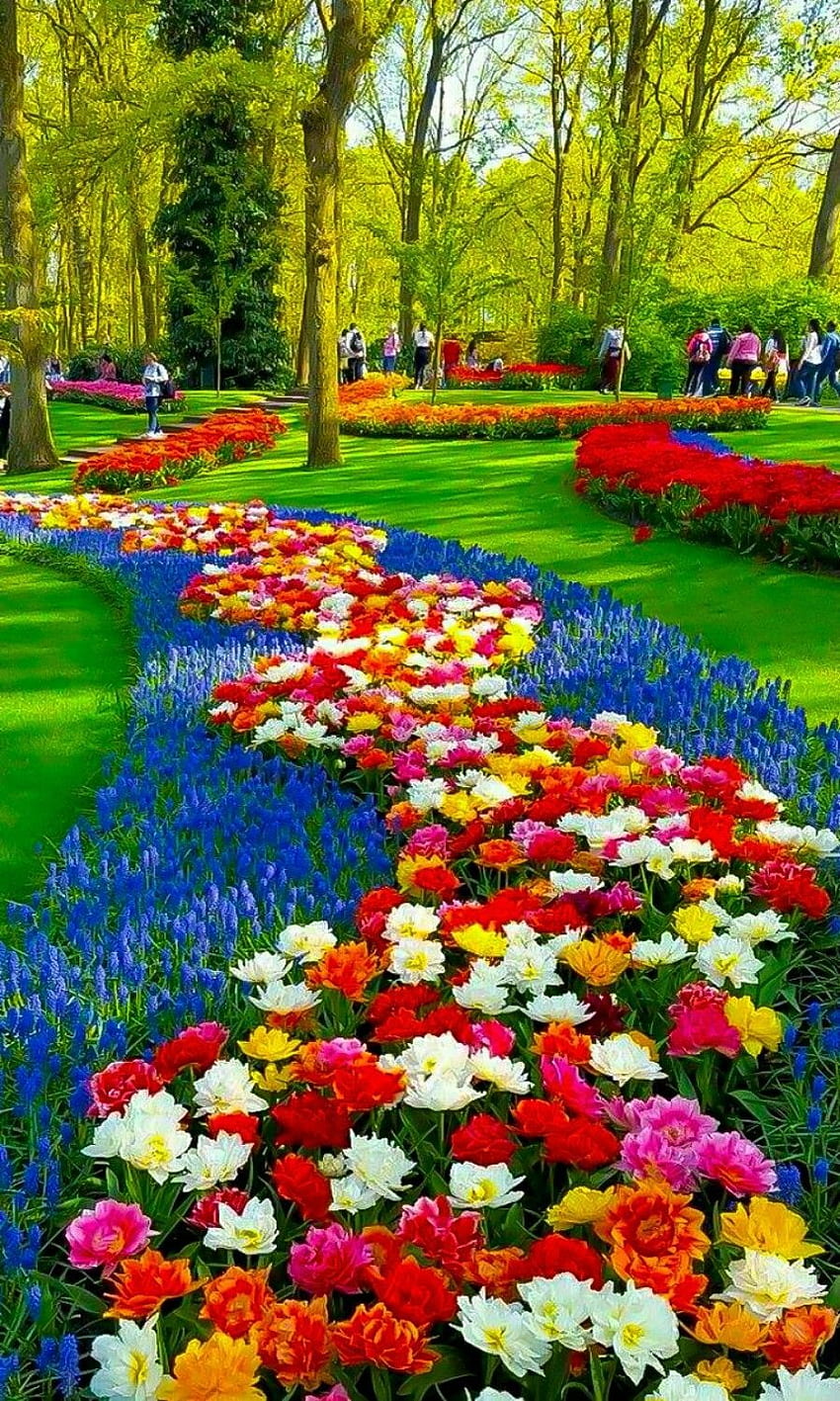 Visitando Las Plantas Y Flores Del Jardín Al Aire Libre. Hermosos jardines de flores, Jardines hermosos, Flores hermosas, Arte de jardines fondo de pantalla del teléfono