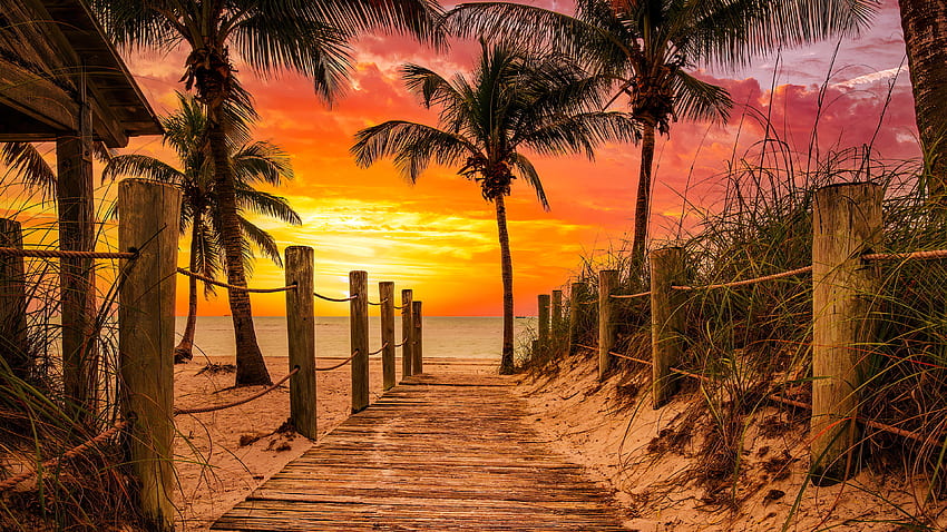 Tropical sunset, sea, palms, tropics, ecotic, paradise, beautiful, vacation, sunrise, fiery, beach, summer, rest, sands, sky, sunset, ocean, breeze HD wallpaper