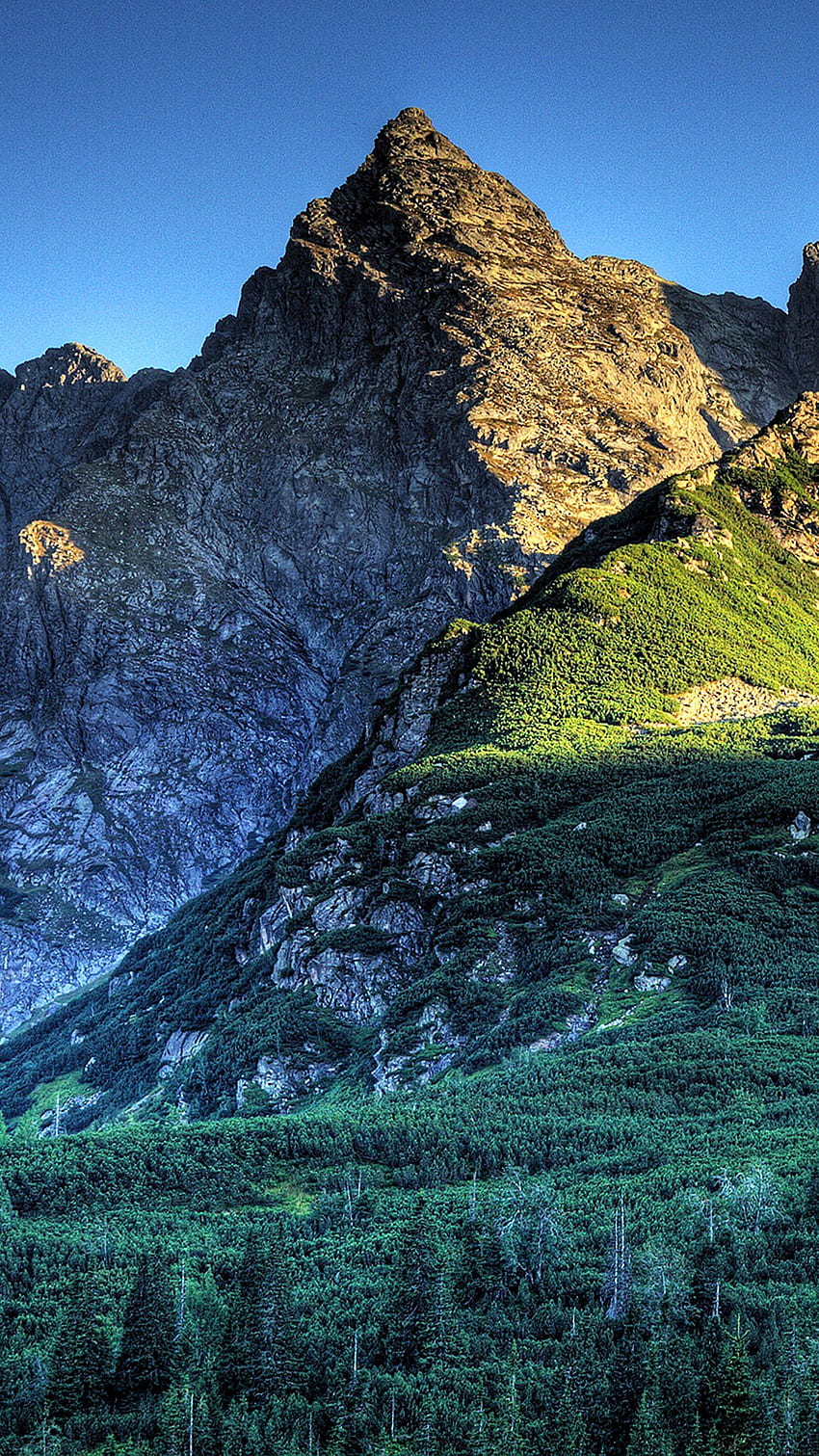 iPhone 6 - prosper mountain, Mountain 5 HD phone wallpaper