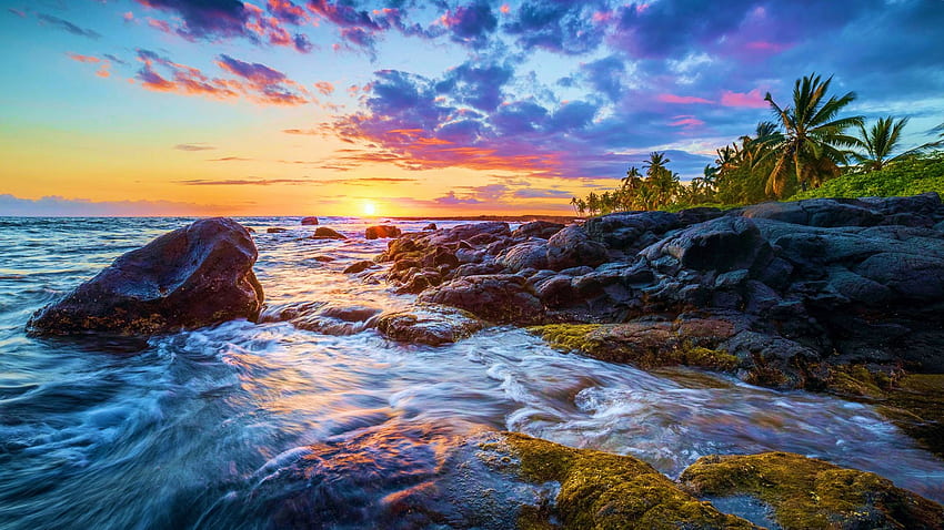 Sunset on the Kona coast of the Big Island of Hawaii, sea, clouds, trees, sky, sun, rocks, usa HD wallpaper
