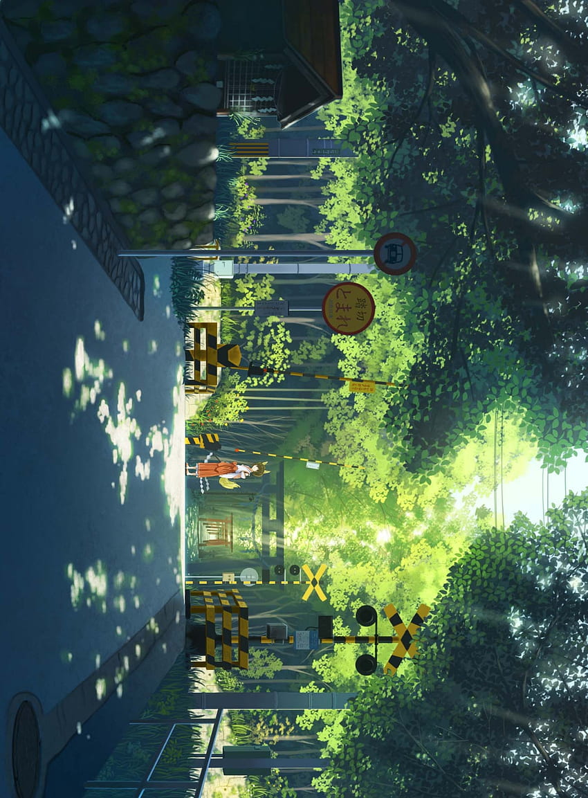 Papel de parede : luz solar, Anime, natureza, grama, céu, ramo