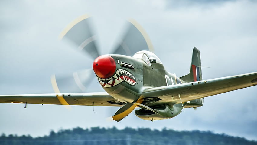 P 51 MUSTANG Airplane Aircraft Vehicle Air Force Airforce Plane Fighter Military P51 Warplane . HD wallpaper