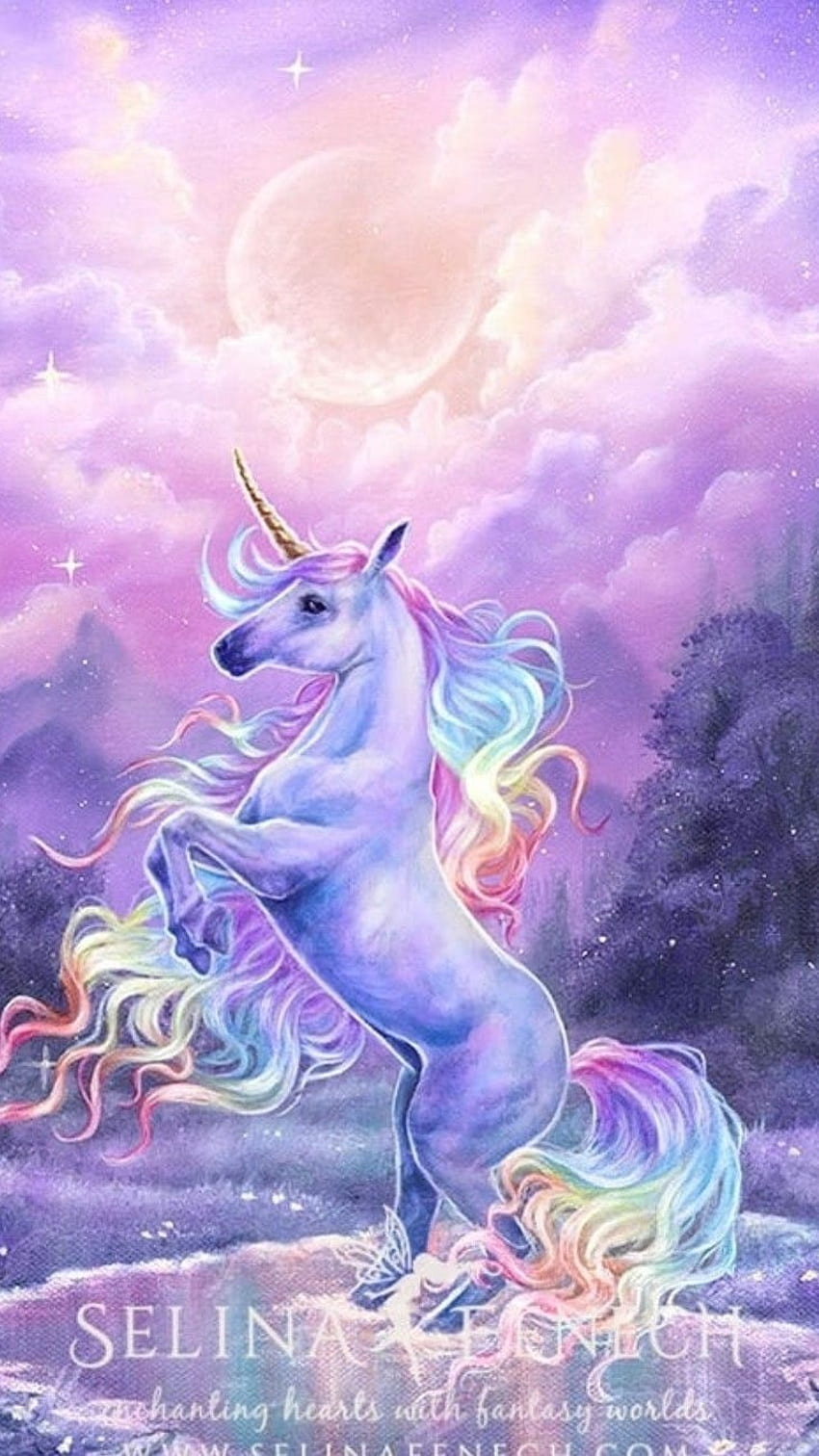 Unicorn, Cute Horse HD phone wallpaper