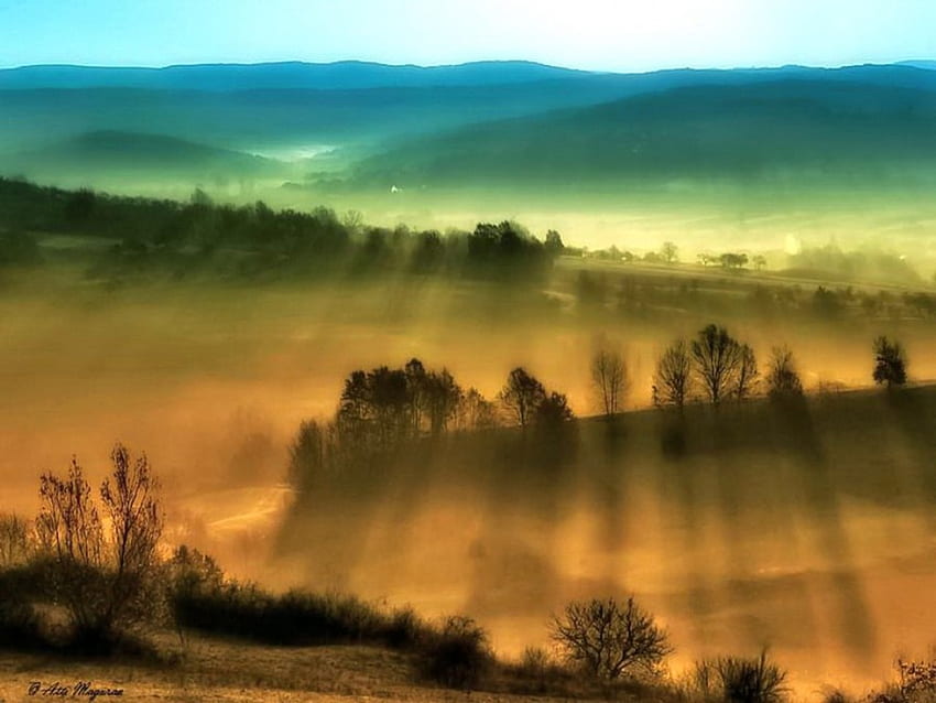 Мрачно утро, мъгла, лъчи, хълмове, утро, дървета HD тапет