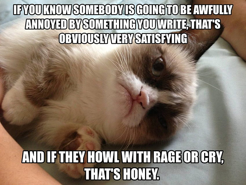 Cat meme quote funny humor grumpy (4) . . 355093. UP, Funny Cat Memes HD wallpaper