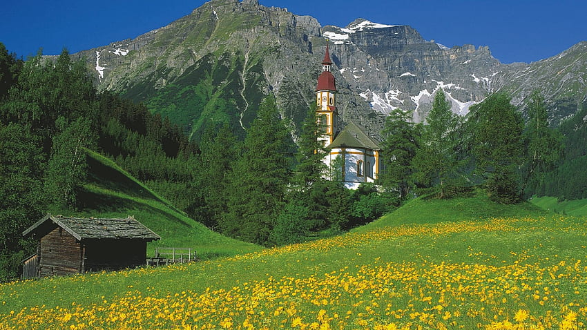 オーストリアの山、木々、アルプス、教会、小屋、村 高画質の壁紙