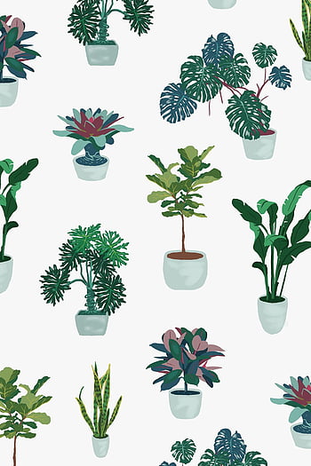 Aesthetic Plant Drawing Photo - Drawing Skill