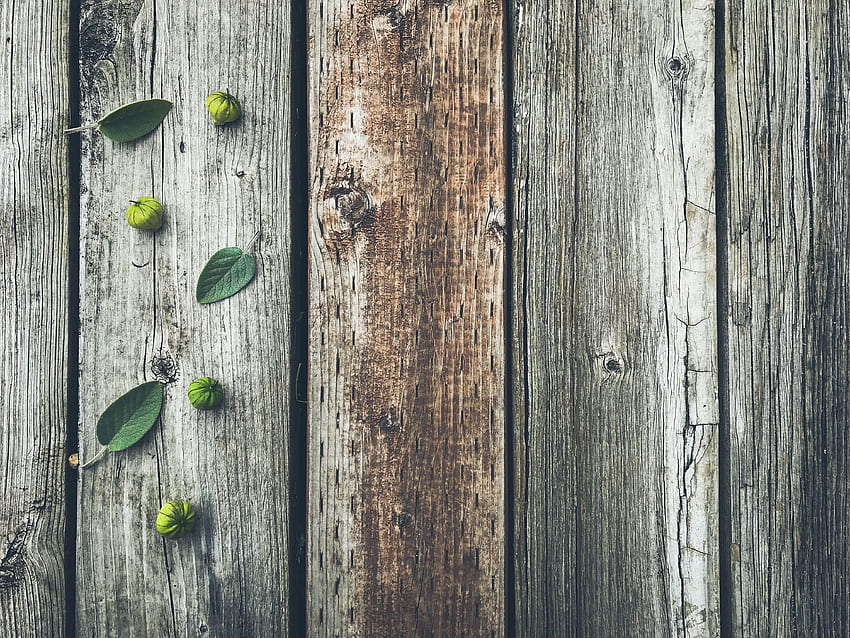 Leaves, Wood, Wooden, Tree, Texture, Textures, Fruit, Planks, Board HD wallpaper