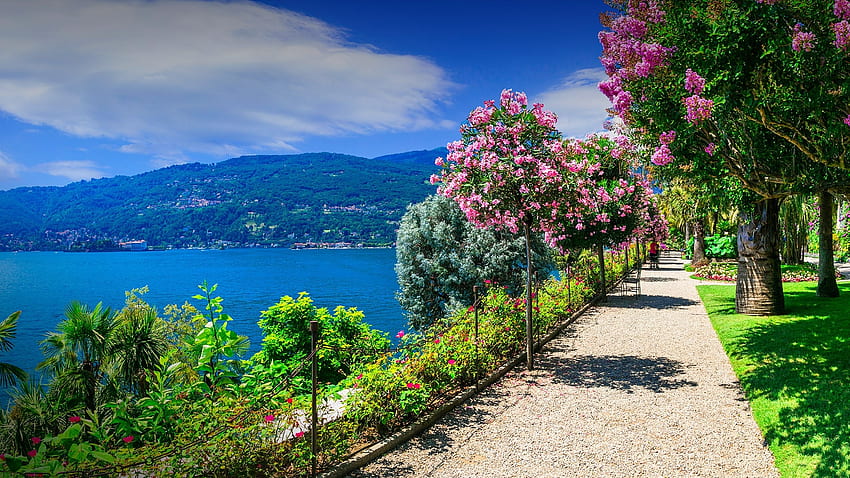 イタリア公園、庭園、海、丘、植物、湾、通路 高画質の壁紙