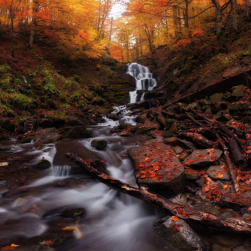 Autumn forest, Waterfall, Autumn leaves, , , Nature,. for iPhone, Android, Mobile and, Cool Leaves HD phone wallpaper