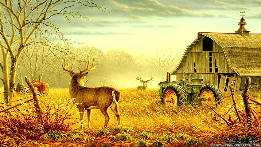 Summer Country Scenes , Farm HD wallpaper | Pxfuel