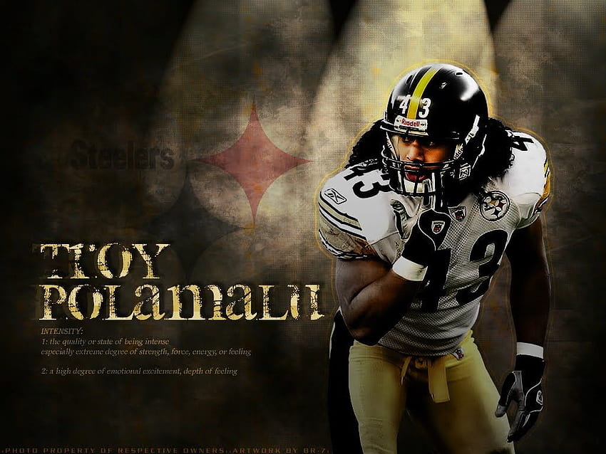 NFL Troy Polamalu Pittsburgh Steelers HD wallpaper