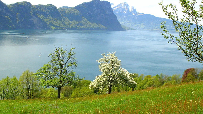 Alam, Rumput, Pegunungan, Danau Wallpaper HD