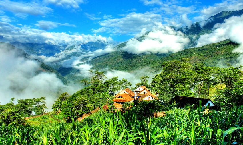 Hillside Village of Majuwa, mgła, chmury, drzewa, zbocze, przyroda, domy, góry, wioska Tapeta HD