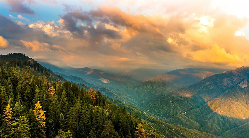 สหรัฐอเมริกา สวนสาธารณะ ทิวทัศน์ ภูเขา ป่าไม้ แคลิฟอร์เนีย คลาวด์ คิงส์แคนยอน สหรัฐอเมริกา ธรรมชาติ วอลล์เปเปอร์ HD
