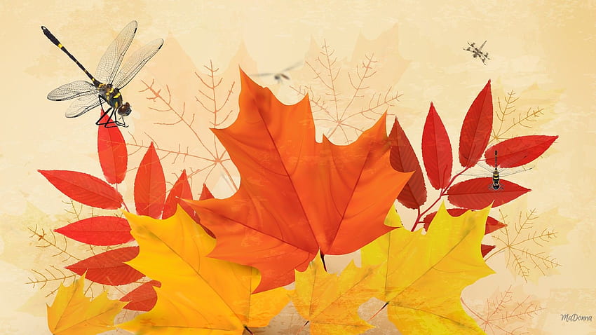 Natur: Vintage Herbst Vinatage Herbstlaub Ahorn Gold Eberesche HD-Hintergrundbild