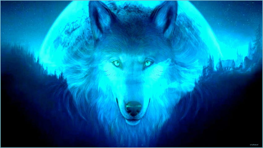 Cool Wolf Background 10 Live - fajne tło wilka, Awesome Cool Wolf Tapeta HD
