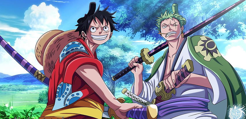 Luffy And Zoro HD wallpaper