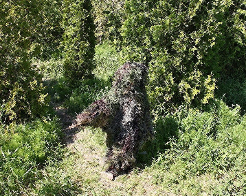 Ghillie Suit Background HD wallpaper