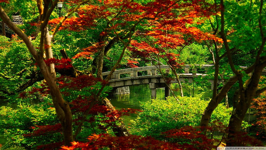 Japanese Garden . Japanese garden, Autumn landscape, Kyoto garden HD wallpaper