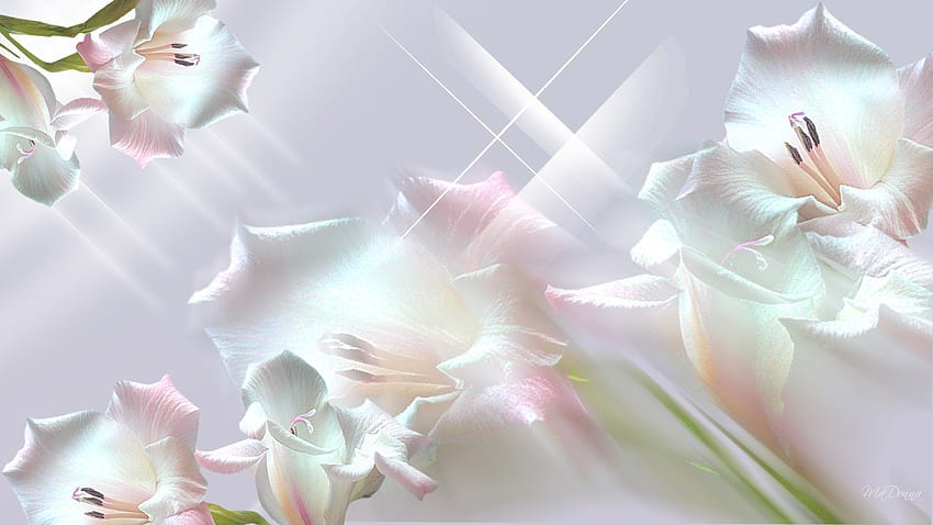 Perfektion, Firefox-Persönlichkeit, weich, Sterne, rosa, hell, Perle, Lavendel, Glanz, Blumen HD-Hintergrundbild