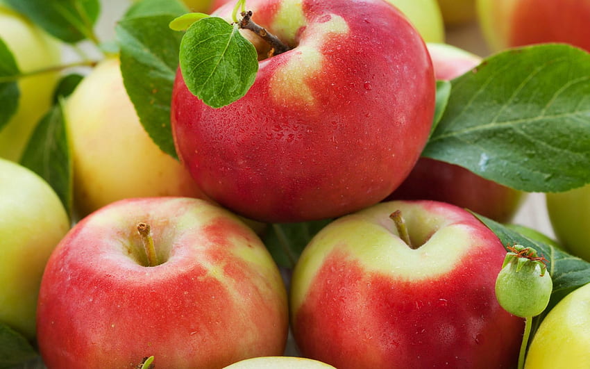 Apples, Fruits, Food, Ripe HD wallpaper