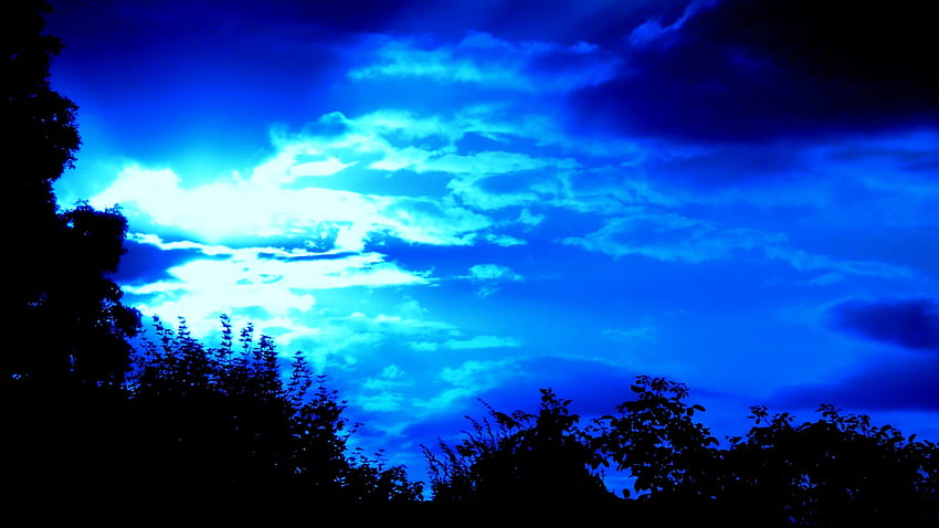 Znowu jest niebieski, niebieski, światło, chmury, drzewa, fascynujące, niebo, promień Tapeta HD