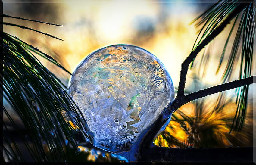 Frozen Bubbles II by stylo - Caedes HD wallpaper