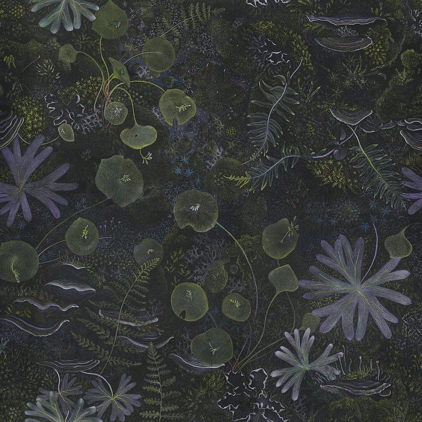 Night Garden. Moss Cave – CLAIRE BURBRIDGE, Fundamental HD phone wallpaper