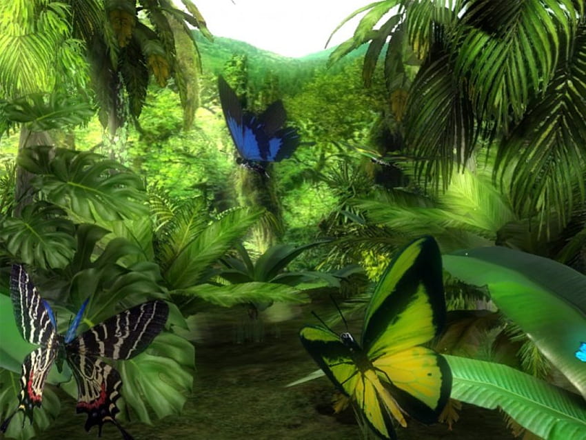 Butterfly Jungle, palms, butterflies, jungle, ferns HD wallpaper