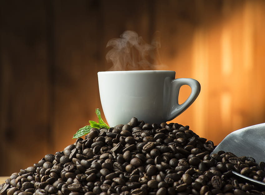 Cangkir kopi, asap, kacang Wallpaper HD