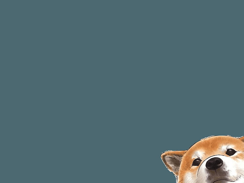 Esthétique pour chien, dessin animé Shiba Inu Fond d'écran HD