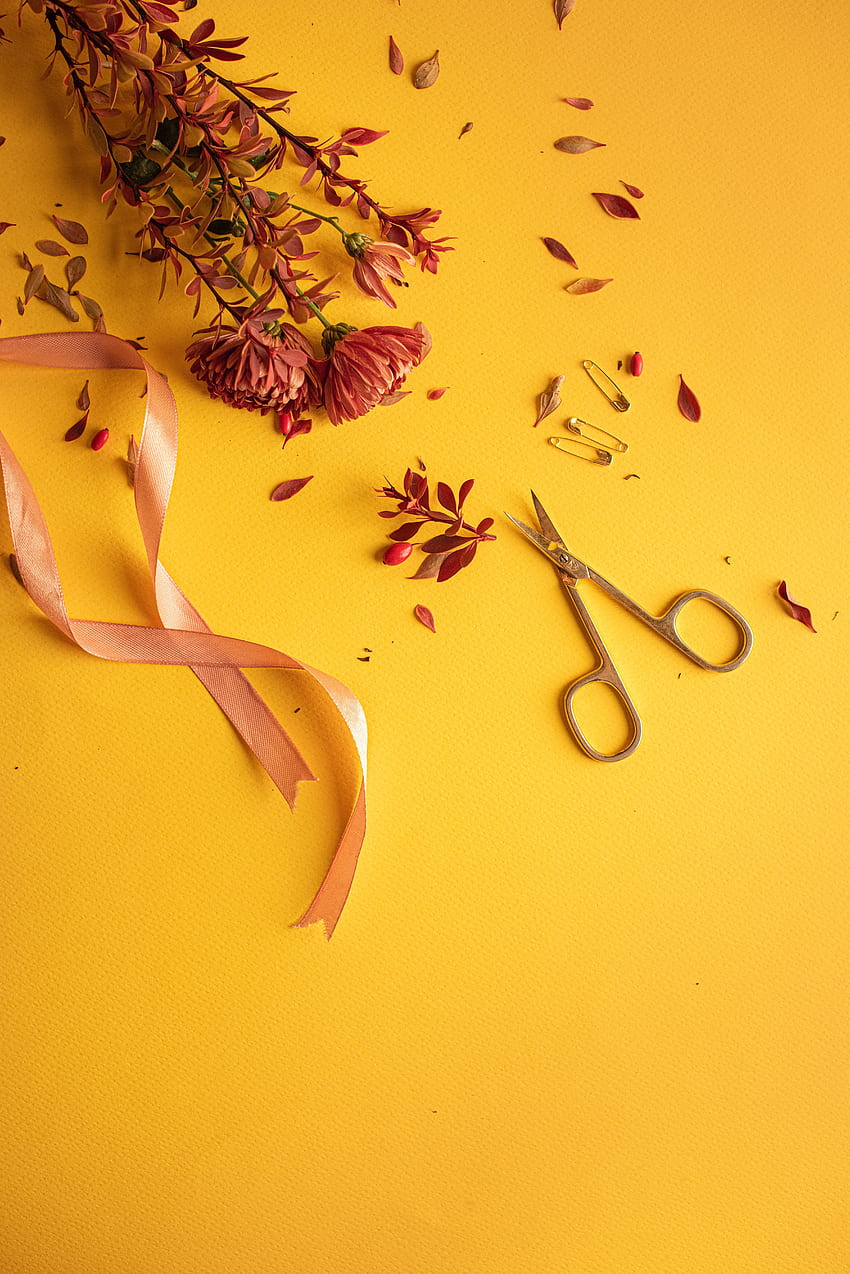 Flowers, , , Tape, Scissors, Pins, Safety Pins HD phone wallpaper