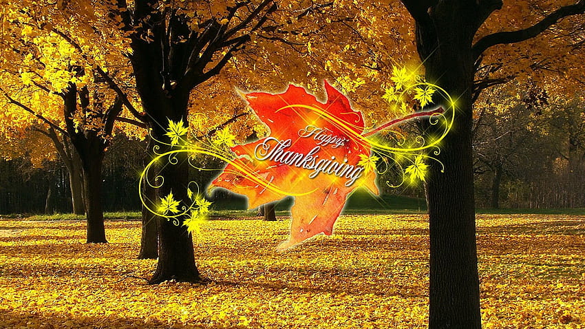 Happy Thanksgiving Word In Autumn Yellow Leafed Trees Background Thanksgiving HD wallpaper