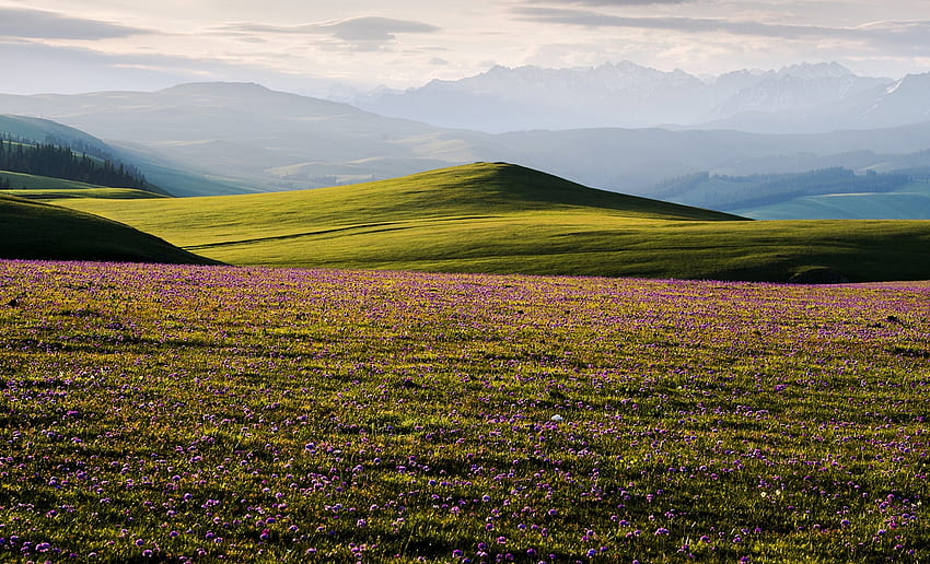 Landschaftsansicht der Kalajun-Prärie, Yili Xinjiang, 7. Juni 2015, Landschaft, Kalajun, Prärie HD-Hintergrundbild