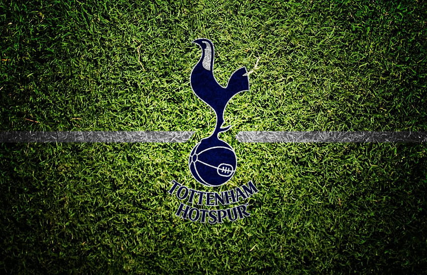 Tottenham Hotspur Hd Wallpaper Pxfuel