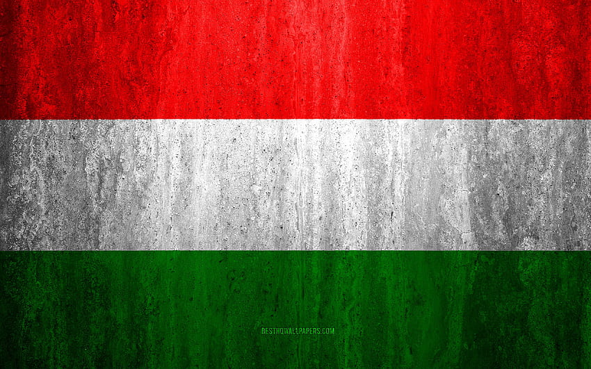Flag of Hungary, , stone background, grunge flag, Europe, Hungary flag, grunge art, national symbols, Hungary, stone texture for with resolution . High Quality HD wallpaper