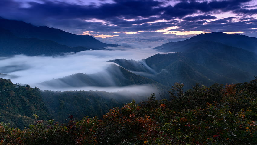 朝の霧、霧、山、朝、谷 高画質の壁紙