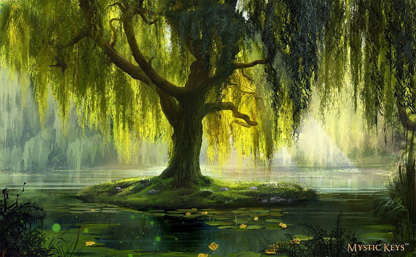 The Willow Bath, Weeping Willow HD wallpaper
