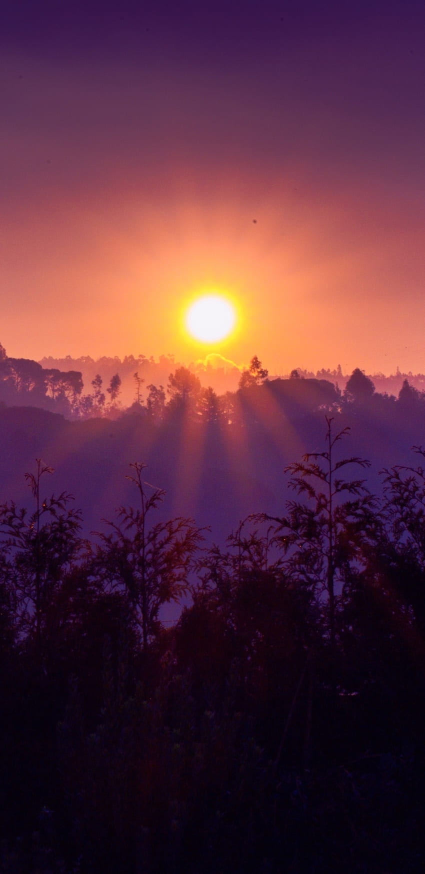 Sunset Resolution , Nature , , and Background, Sharp Sunset HD phone wallpaper
