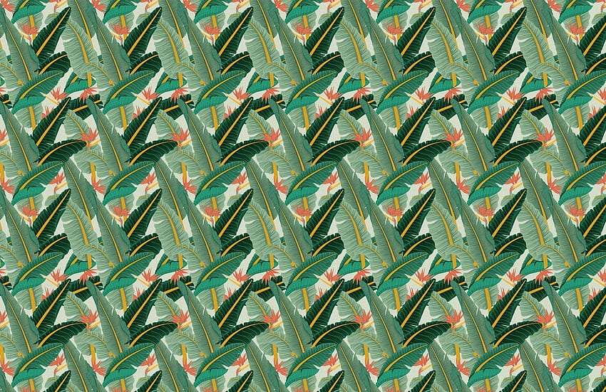 Banana Leaf Print, Tropical Pattern HD wallpaper