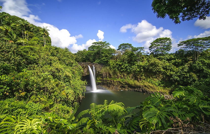 Forest, tropics, waterfall, Hawaii, Hawaii, Hilo, Rainbow Falls for ...