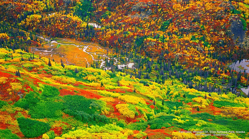 Alaskan Landscape in Autumn, landscapes, fields, autumn, nature, alaska HD wallpaper