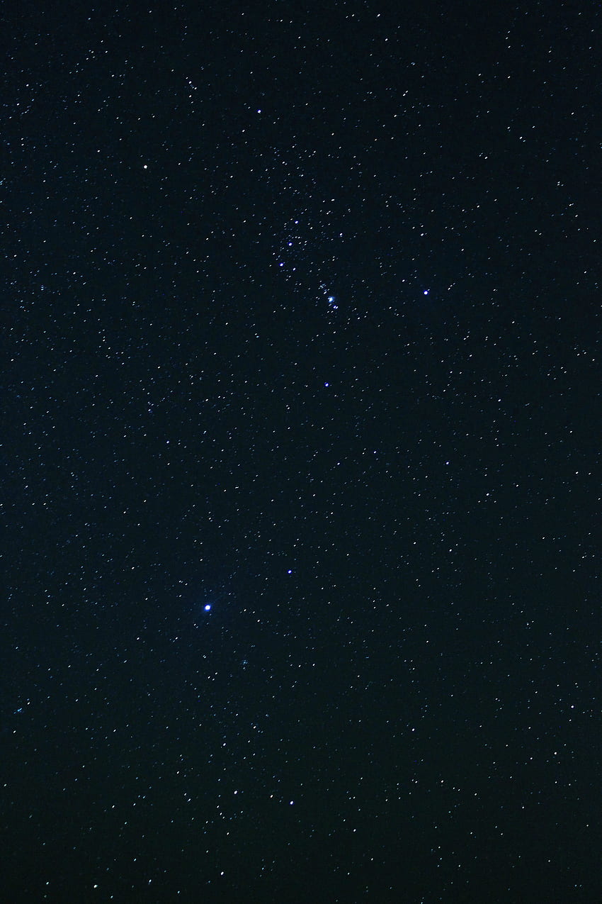 Sirius und die Orion-Konstellation []. Stern Orion, Sterner, Orion, Stern Löwe HD-Handy-Hintergrundbild