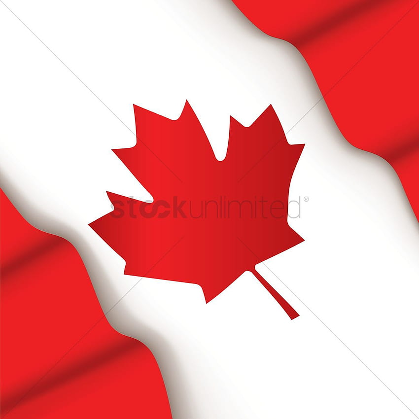 Canada flag design Vector - 1974944, Canada Maple Leaf HD phone wallpaper
